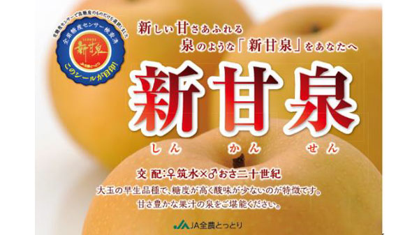 泉のように甘さあふれる梨「鳥取県オリジナル品種 新甘泉フェア」開催　ＪA全農