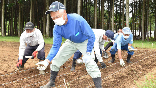 小鮎打越生産組合ヒマワリ種まき