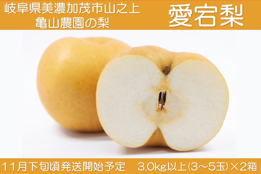 愛宕梨　2箱セット