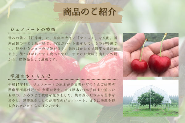 「ジュノハート」の特徴