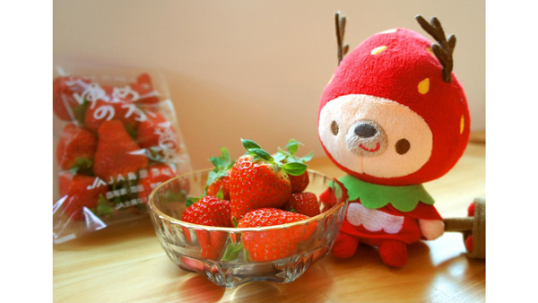 大粒でジューシー、甘みと酸味のバランスが絶妙な「ゆめのか」