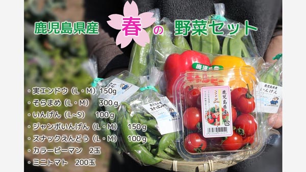 鹿児島県産