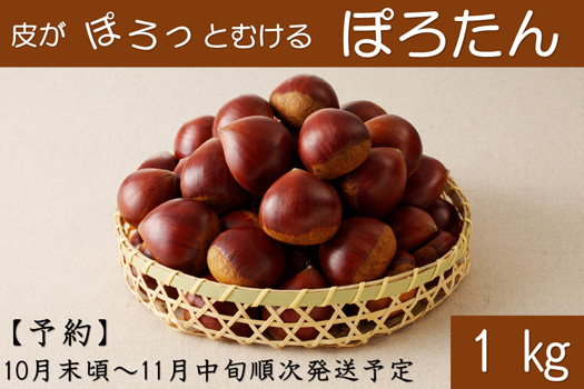 東美濃ぽろたん　1kg