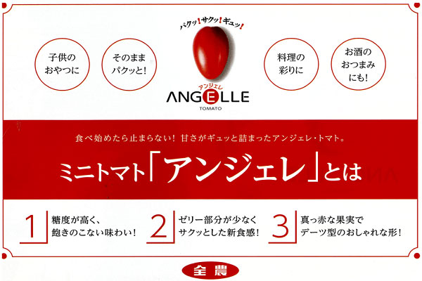 日本全国の産地を見てきたプロ集団が厳選「野菜ボックス10種入」セール開始　ＪＡタウン