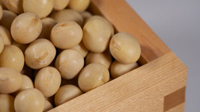 大豆イメージ.jpg