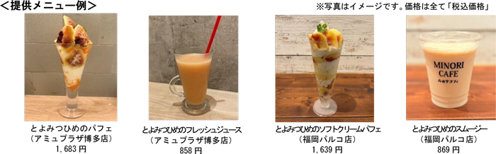 提供メニュー例