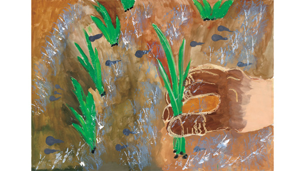 第50回「ごはん・お米とわたし」作文・図画コンクール　各賞が決定　ＪＡ全中