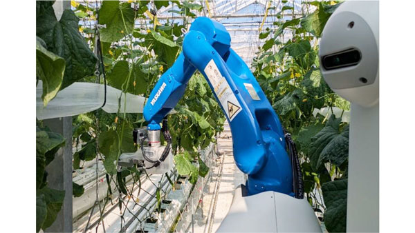 安川電機と共同開発「キュウリ作業ロボット」ゆめファーム全農SAGAで稼働開始　ＪＡ全農.jpg