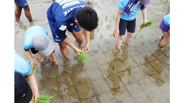 田植え体験も実施