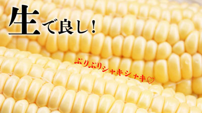 鹿児島県産朝採りとうもろこし「ゴールドラッシュ」販売中　ＪＡタウンs.jpg