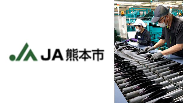 環境に優しい栽培で高品質を維持「肥後のでこなす」出荷最盛期迎える　ＪＡ熊本市.jpg
