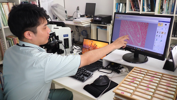 PCの画面上で牛の心臓を指さす中村さん