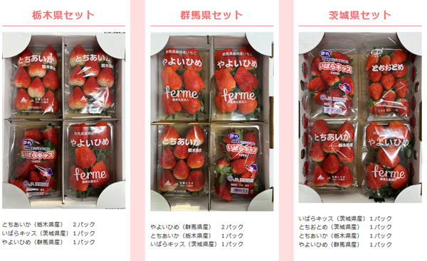 北関東3県のいちごの食べくらべセット