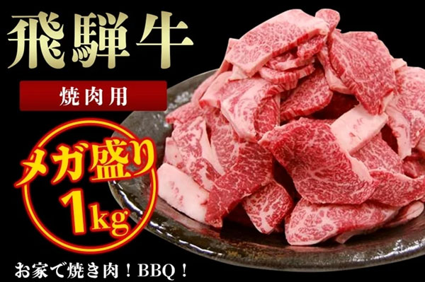 飛騨牛 メガ盛り 焼肉用 1kg
