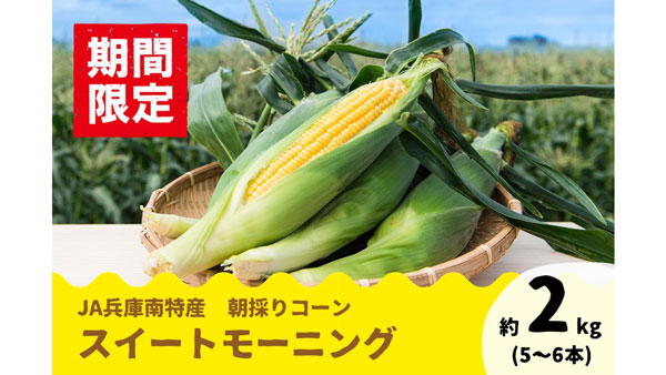 朝採れとうもろこし「スイートモーニング」予約販売開始　ＪＡタウン「あつめて、兵庫。」