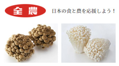 新品種「博多ぶなしめじ」デビュー記念「福岡県産きのこフェア」開催　ＪＡ全農_01s.jpg