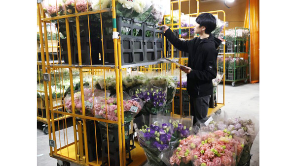 県外に出荷する花の仕分け作業が進む