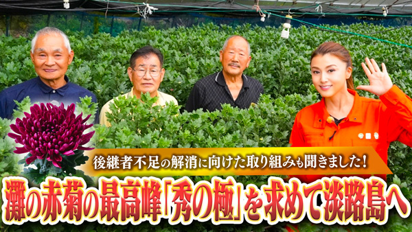 藤原紀香「ゆるふわちゃんねる」淡路島で「灘の赤菊」生産者とゆる飲み　ＪＡタウン