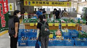JRと地場農産物販売でコラボ「ほんまちマルシェ」府中本町駅で開催　ＪAマインズ