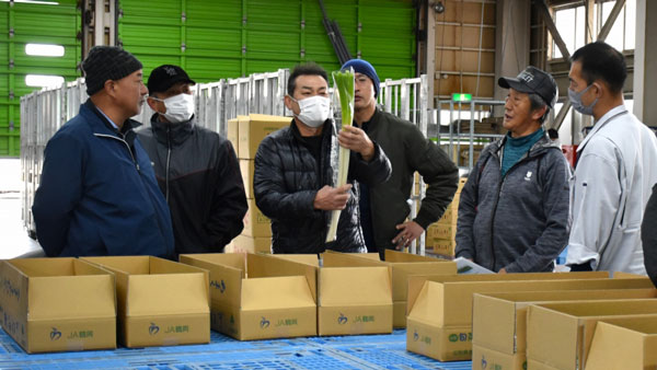 サンプルを確認する生産者
