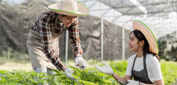 農業を仕事にする第一歩を応援「新・農業人フェア」23日に開催 農協観光