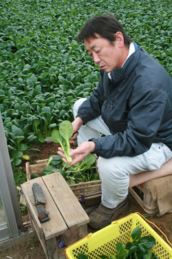 眞利子伊知郎組合長