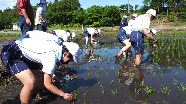 生きる力を育む農業体験（喜多方市教育委員会提供）