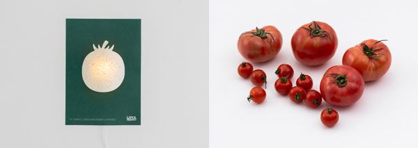 「灯るおやさい」トマト