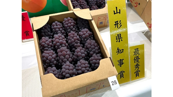 山形県産ぶどう「デラウェア」