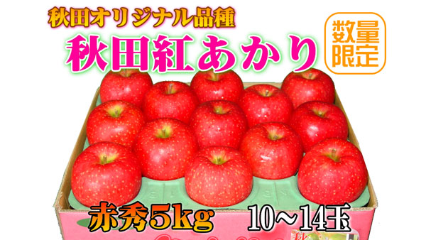 「サキホコレ」「秋田紅あかり」など送料負担なしでお得に　キャンペーン実施中　ＪＡタウン