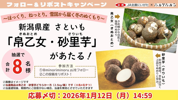 みのりみのるXプレゼントキャンペーン