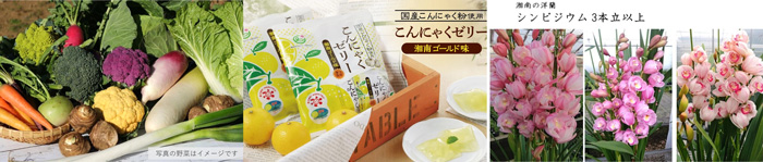 左から、【三浦半島特産品】すかなごっそ　季節のよこすか野菜セット、こんにゃくゼリー「湘南ゴールド味」、シンビジウム＜湘南の洋蘭＞3本立ち以上
