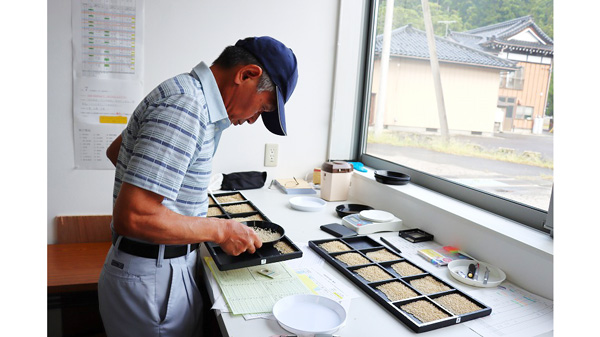 西郷倉庫で25年産米入庫始まる　ＪＡ鶴岡.jpg