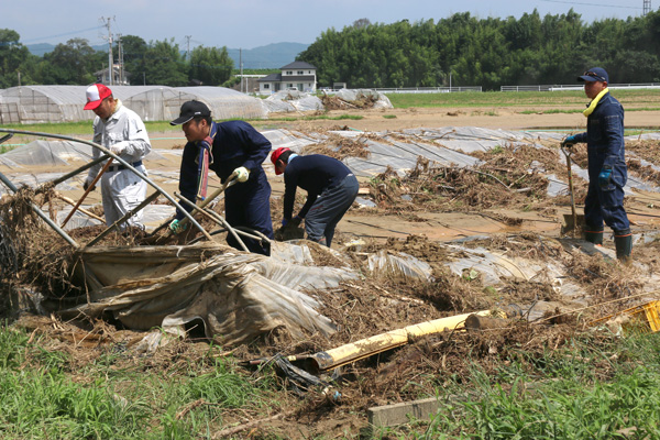 復旧作業に力を発揮したＪＡ農業ボランティアセンター