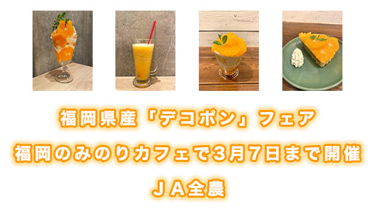 福岡県産「デコポン」フェア　福岡のみのりカフェで3月7日まで開催　ＪA全農2.jpg