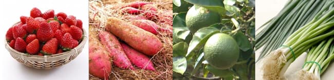 左から、大分県オリジナルいちご「ベリーツ」、甘太くん、かぼす、大分味一ねぎ