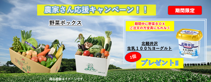 「新鮮ぐんまみのり館」の産直野菜が届くキャンペーン　好評につき期間延長　ＪＡタウン