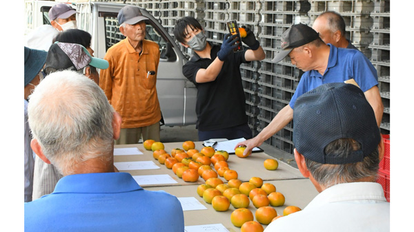 「あしきた太秋」出荷に向け説明会 出荷量チャートに合わせた着色を確認する参加者