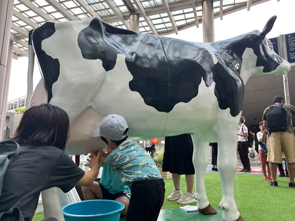 等身大模擬牛の疑似搾乳体験
