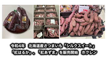 令和4年　北海道産さつまいも「シルクスイート」、「紅はるか」、「紅あずま」を販売開始　ホクレン_01s.jpg
