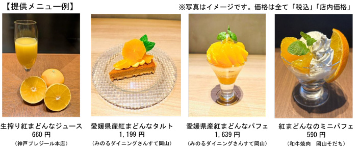 提供メニュー例