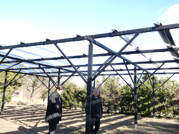 農地の立体的利用の太陽光発電パネル