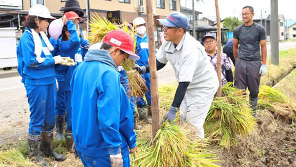 ＪＡ鶴岡青年部南支部指導のもと地元小学生が稲刈り体験　ＪＡ鶴岡