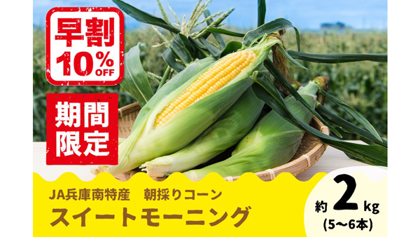 朝採りコーン　兵庫県産「スイートモーニング」予約販売開始　ＪＡタウン