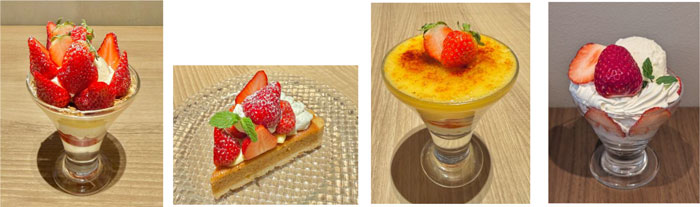 提供メニュー例