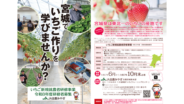 宮城県で令和8年度のいちご新規就農者研修者の募集開始　ＪＡ全農みやぎ.jpg