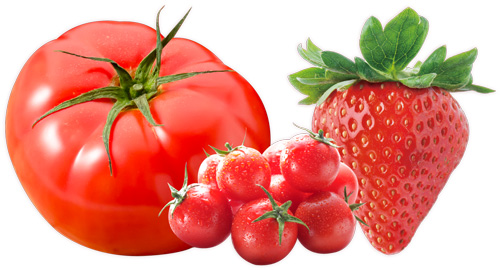 冬土用未の日に食べると縁起が良い赤い食べ物