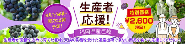 ぶどうを食べて生産者応援　規格外の「福岡県産巨峰」販売　ＪＡタウン