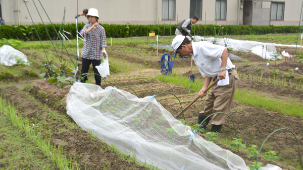 働き方改革下の職員教育＜下＞