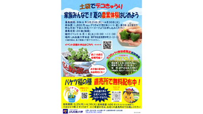 家族みんなで夏の農業体験はじめよう　食農体験イベント「土袋でデコきゅうり」開催　JA兵庫六甲